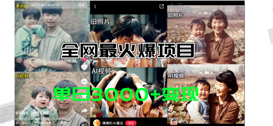 （11546期）全网爆火的AI让老照片动起来教程，蹭热点日赚3000+，内含免费工具一键…-百川聊项目
