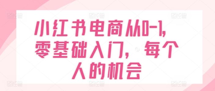 小红书电商从0-1，零基础入门，每个人的机会-百川聊项目