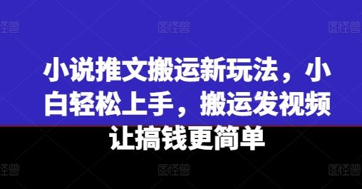 小说推文搬运新玩法，小白轻松上手，搬运发视频让搞钱更简单-百川聊项目