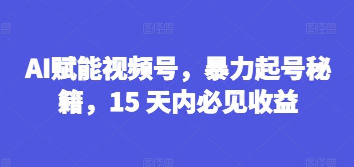 AI赋能视频号，暴力起号秘籍，15 天内必见收益【揭秘】-百川聊项目