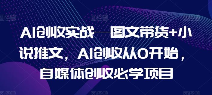 AI创收实战—图文带货+小说推文，AI创收从0开始，自媒体创收必学项目-百川聊项目