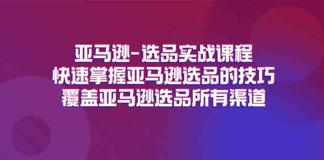 亚马逊选品实战课程，快速掌握亚马逊选品的技巧，覆盖亚马逊选品所有渠道-百川聊项目