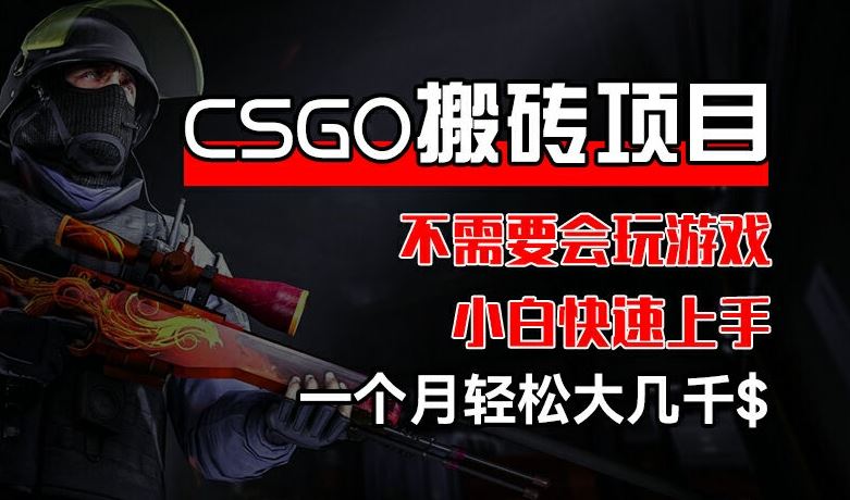 CSGO 装备搬砖项目，操作简单，不需要会玩游戏，小白也能快速上手，一个月轻松大几千【揭秘】-百川聊项目