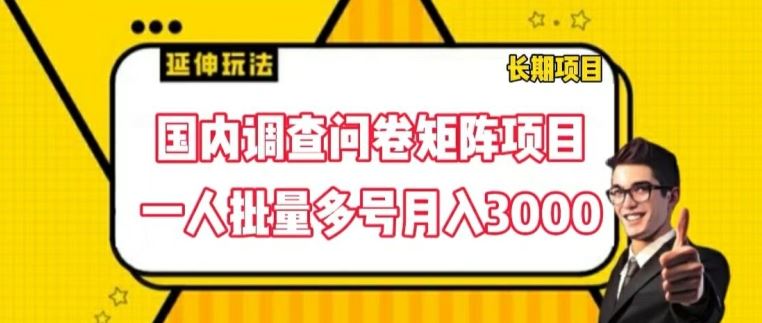 国内调查问卷矩阵项目，一人批量多号月入3000【揭秘】-百川聊项目