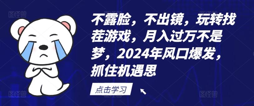 不露脸，不出镜，玩转找茬游戏，月入过万不是梦，2024年风口爆发，抓住机遇【揭秘】-百川聊项目