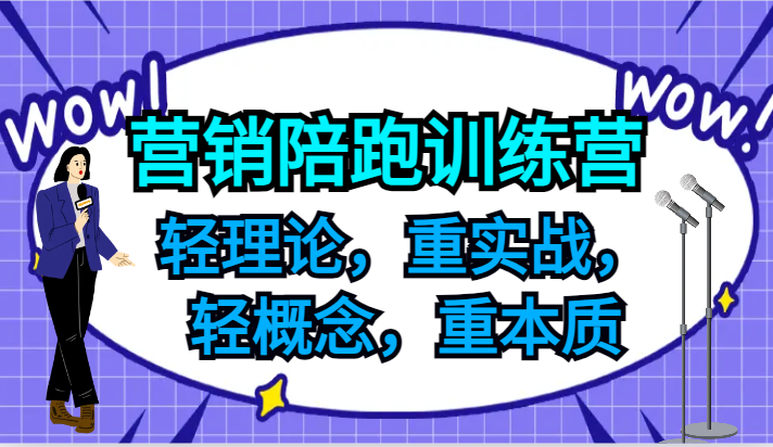 营销陪跑训练营，轻理论，重实战，轻概念，重本质，适合中小企业和初创企业的老板-百川聊项目