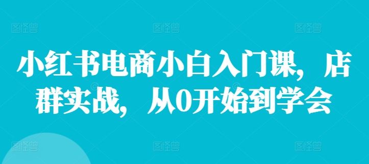 小红书电商小白入门课，店群实战，从0开始到学会-百川聊项目
