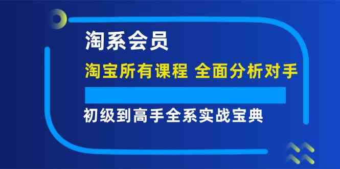 淘系会员初级到高手全系实战宝典【淘宝所有课程，全面分析对手】-百川聊项目