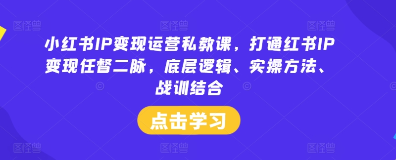 小红书IP变现运营私教课，打通红书IP变现任督二脉，底层逻辑、实操方法、战训结合-百川聊项目