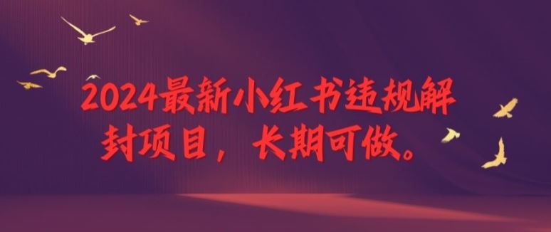 2024最新小红书违规解封项目，长期可做，一个可以做到退休的项目【揭秘】-百川聊项目
