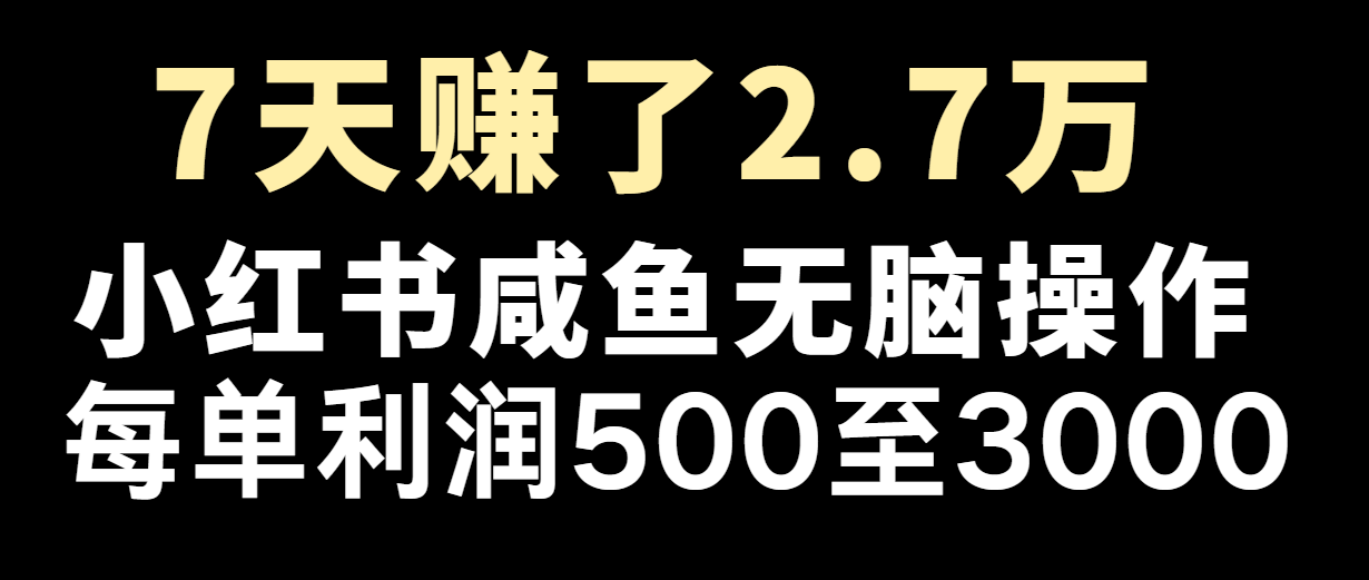 七天赚了2.7万！每单利润最少500+，轻松月入5万+小白有手就行-百川聊项目