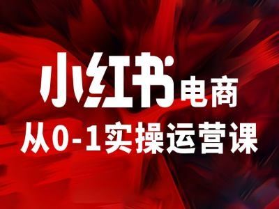 小红书电商从0-1实操运营课，让你从小白到精英-百川聊项目