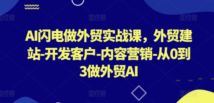 AI闪电做外贸实战课，​外贸建站-开发客户-内容营销-从0到3做外贸AI(更新)-百川聊项目