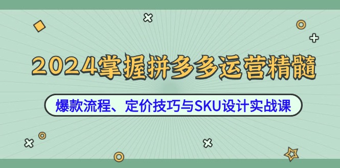 2024掌握拼多多运营精髓：爆款流程、定价技巧与SKU设计实战课-百川聊项目