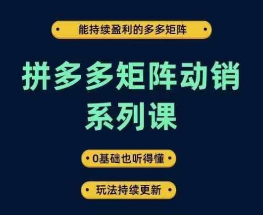 拼多多矩阵动销系列课,能持续盈利的多多矩阵,0基础也听得懂,玩法持续更新-百川聊项目