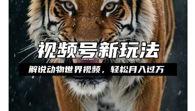 利用动物世界解说视频，赚分成计划收益，轻松月入过W，操作简单【揭秘】-百川聊项目