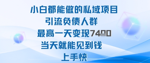 2025年小白都能做的私域项目引流负债人群最高一天变现1k+高变现难度低当天就能见到钱上手快-百川聊项目