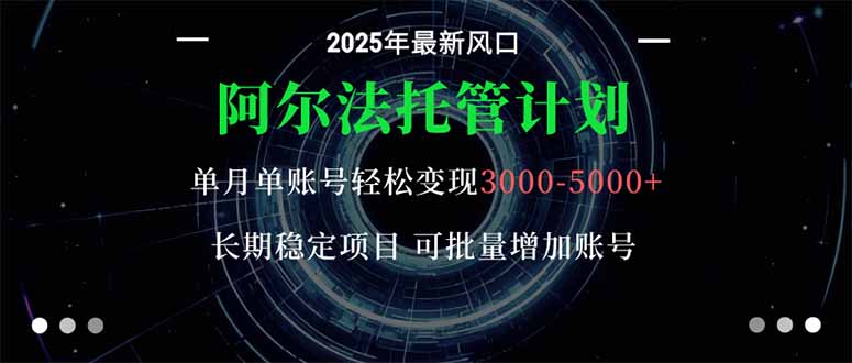 阿尔法托管计划 单账号月入3000-5000，长期稳定项目，新手小白轻松上手。-百川聊项目