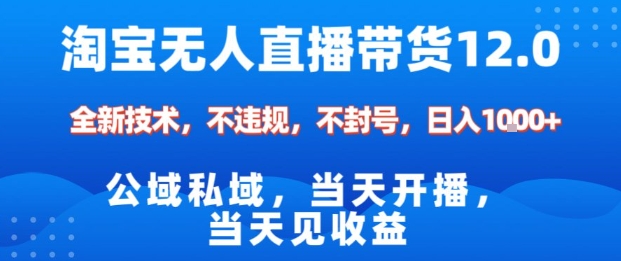 淘宝无人直播12.0，公域私域技术，不封号，不违规布局双十一流量风口，日入1k(独家技术)【揭秘】-百川聊项目