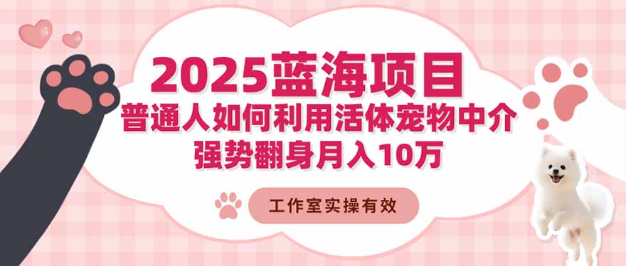 2025蓝海项目：普通人如何利用活体宠物中介，强势翻身月入10万-百川聊项目