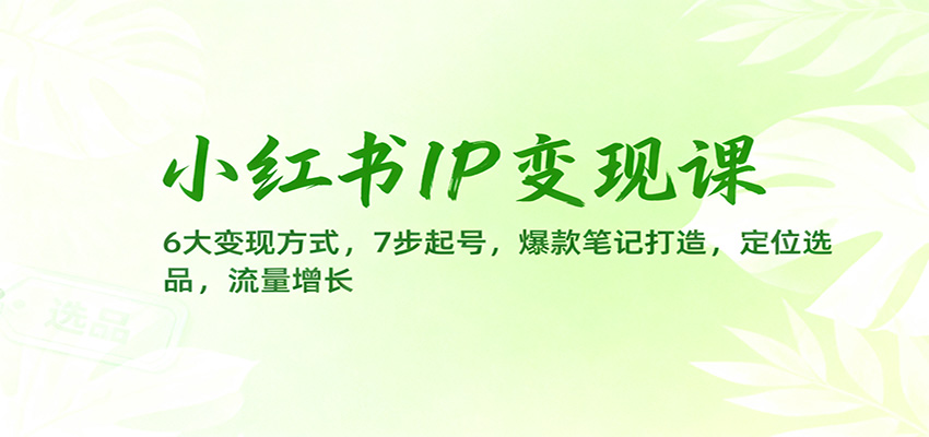 小红书IP变现课：6大变现方式，7步起号，爆款笔记打造，定位选品，流量增长-百川聊项目
