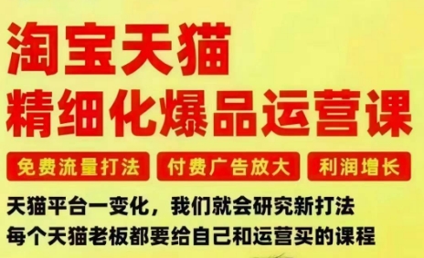 淘宝天猫精细化爆品运营课，免费流量打法-付费广告放大-利润增长-三大核心痛点，一次全部解决-百川聊项目