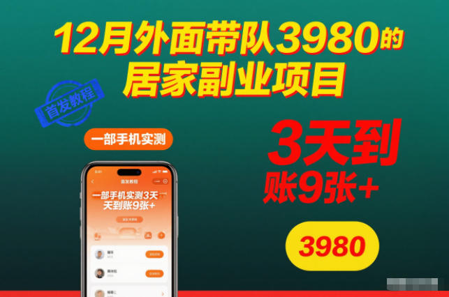12月外面带队3980的居家副业项目，一部手机实测3天到账9张+，首发教程【揭秘】-百川聊项目