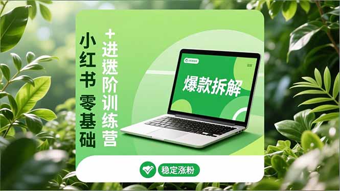 小红书零基础+高阶训练营：安全养号、爆款拆解、长效运营，实现稳定涨粉与变现-百川聊项目