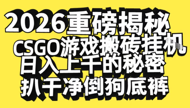2026开年重磅解密，CSGO游戏搬砖挂G日入1k+的秘密，把倒狗的底裤扒干【揭秘】-百川聊项目