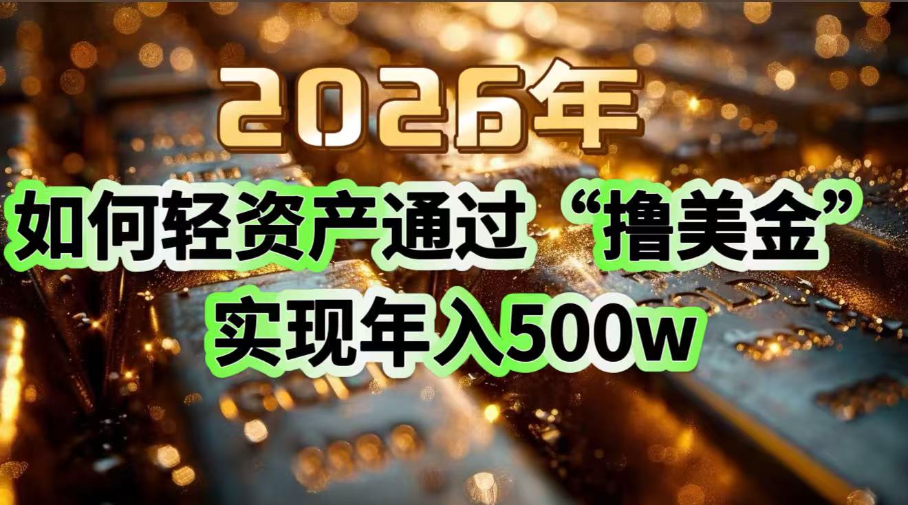 2026年如何轻资产通过“撸美金”实现年入500w-百川聊项目