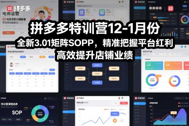 拼多多特训营12-1月份,全新3.01矩阵Sop,精准把握平台红利,高效提升店铺业绩-百川聊项目
