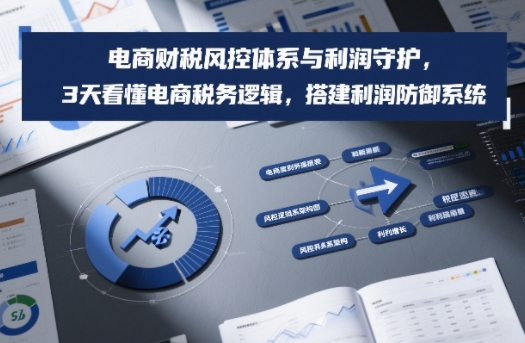 电商财税风控体系与利润守护，3天看懂电商税务逻辑，搭建利润防御系统-百川聊项目