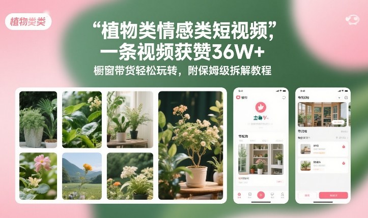 植物类情感类短视频，一条视频获赞36W+，橱窗带货轻松玩转，附保姆级拆解教程-百川聊项目