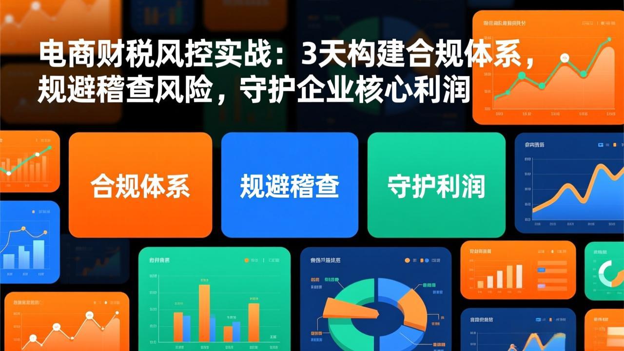 电商财税风控实战：3天构建合规体系，规避稽查风险，守护企业核心利润-百川聊项目