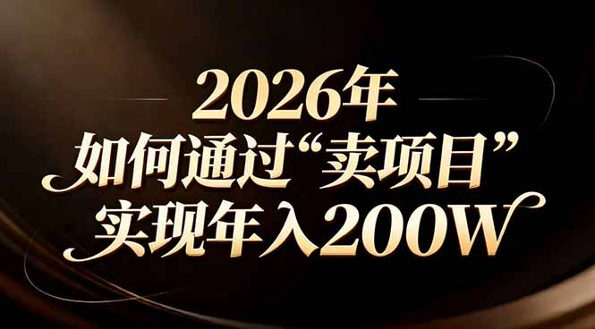 站在2026年的十字路口：一个普通人如何通过卖项目实现年入200万-百川聊项目