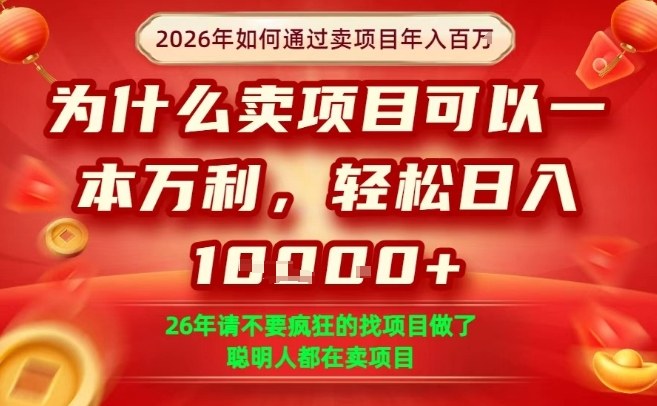 一单净利润1K+，26年想年入100个W，死磕卖项目就够了【揭秘】-百川聊项目