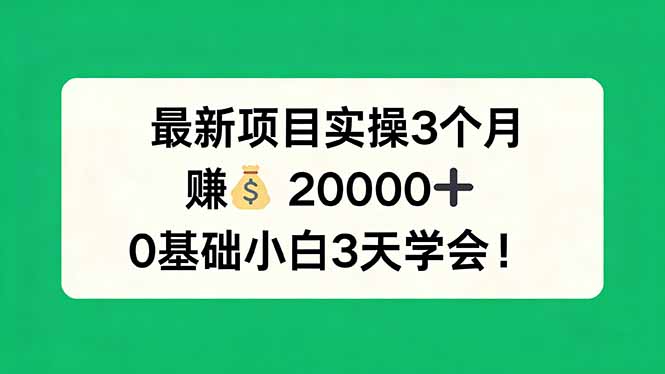 最新项目实操3个月，赚钱20000+，0基础小白3天学会！-百川聊项目
