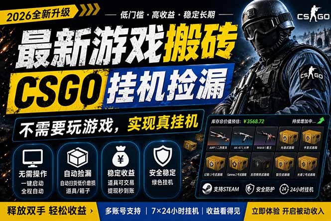 最新游戏搬砖，CSGO纯挂机，不需要玩游戏，实现真挂机，月入1W+，五一小高峰上车可吃肉，…-百川聊项目