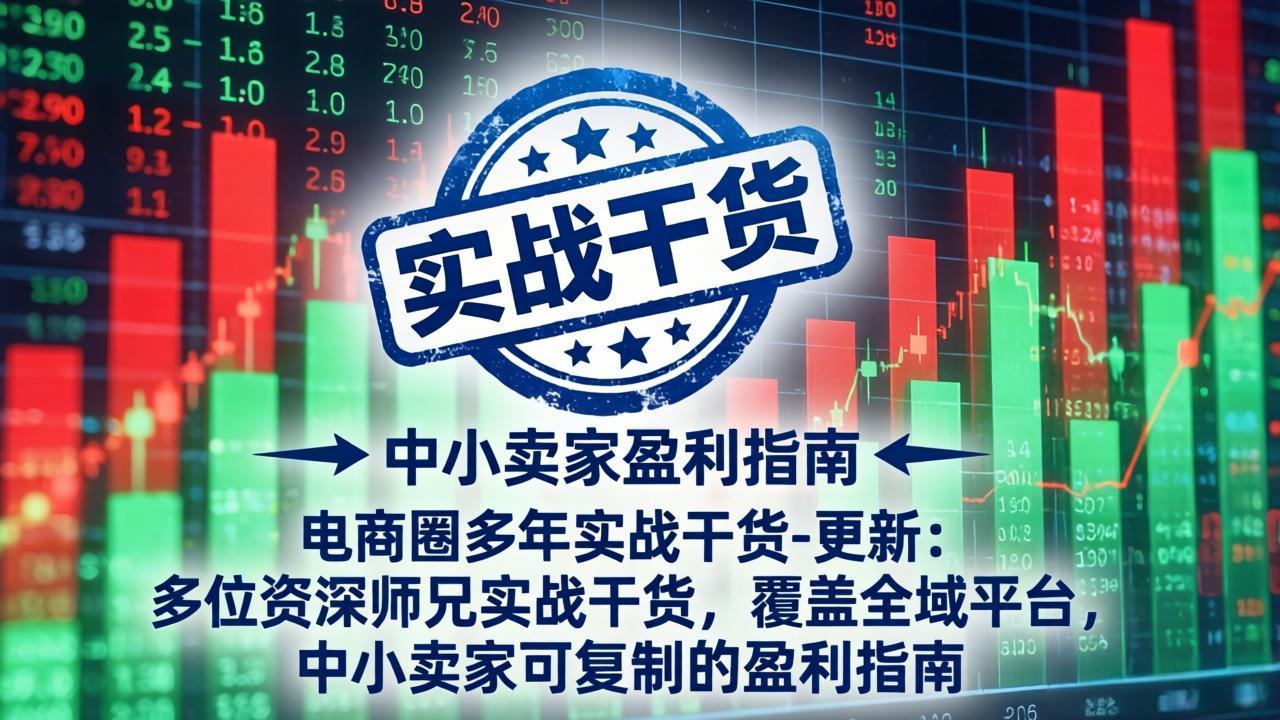 电商圈多年实战干货-更新5月10：多位资深师兄实战干货/覆盖全域平台，中小卖家可复制的盈利指南-百川聊项目
