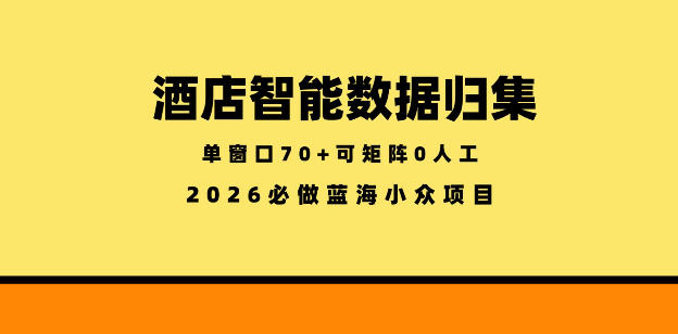 酒店智能数据归集，小众蓝海已经稳定半年之久，单窗口70+零成本矩阵开干【揭秘】-百川聊项目