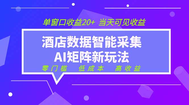 2026酒店数据采集ai智能矩阵新风口 低成本 高收益 当天见收益 单窗口20+-百川聊项目