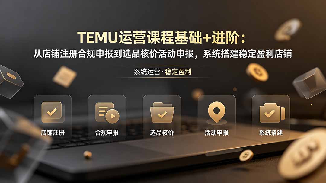 TEMU运营课程(基础+进阶-百川聊项目