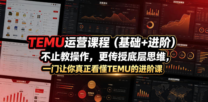 TEMU运营课程(基础+进阶)，不止教操作，更传授底层思维，一门让你真正看懂TEMU的进阶课-百川聊项目