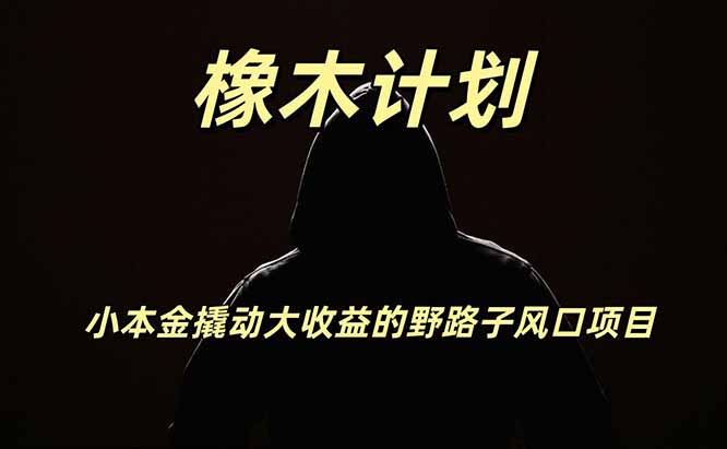 橡木计划，小投入撬动高回报的风口野路子项目，一天投入2小时左右-百川聊项目