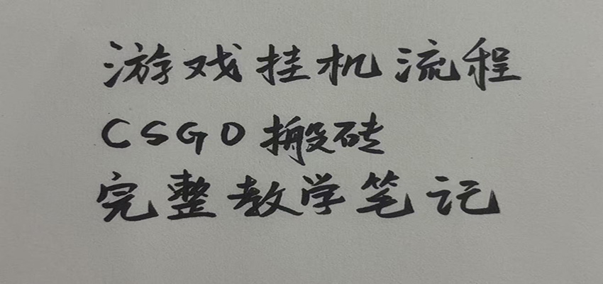 游戏挂机全流程笔记分享，CSGO游戏搬砖，小白看了当天学会见收益-百川聊项目