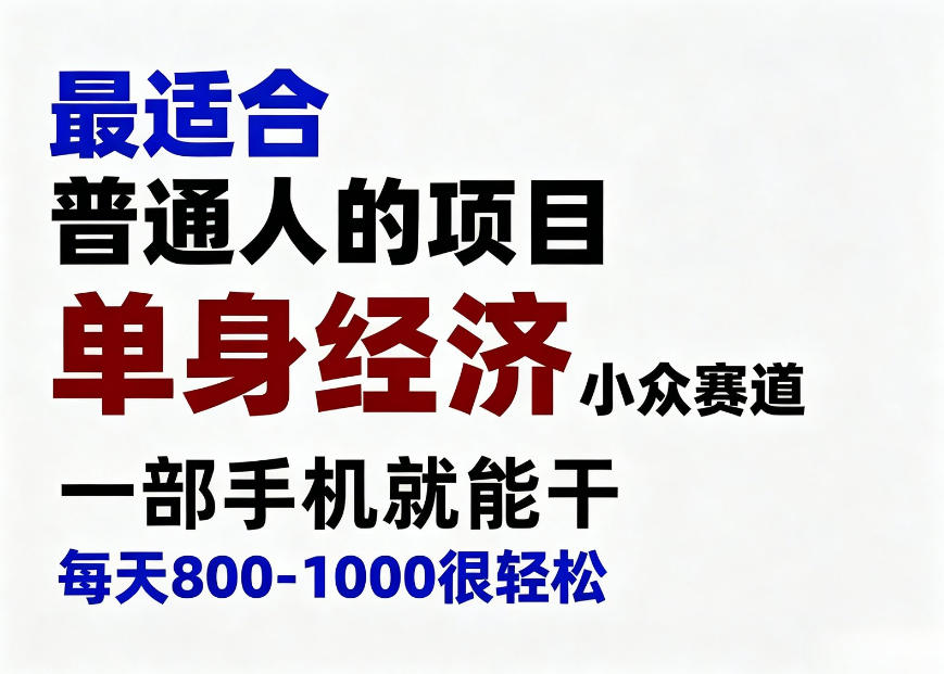 身经济小众赛道，一部手机就能干，每天搞个800-1000很轻松，最适合普通人的项目【揭秘】-百川聊项目