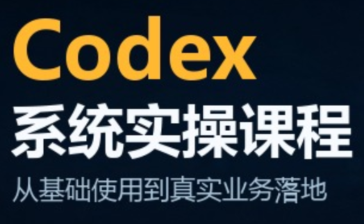 codex系统实操课程(更新10月)-百川聊项目